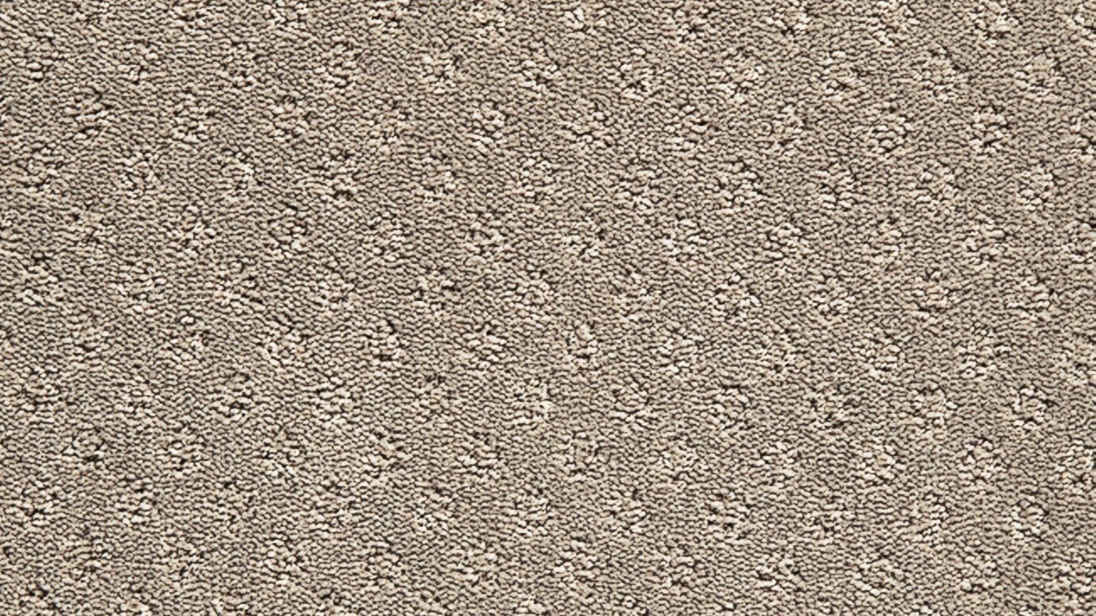 Healthy Homes Clayton Bay Carpet - Seafoam