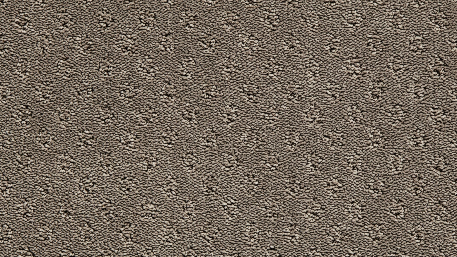 Healthy Homes Clayton Bay Carpet - Ash
