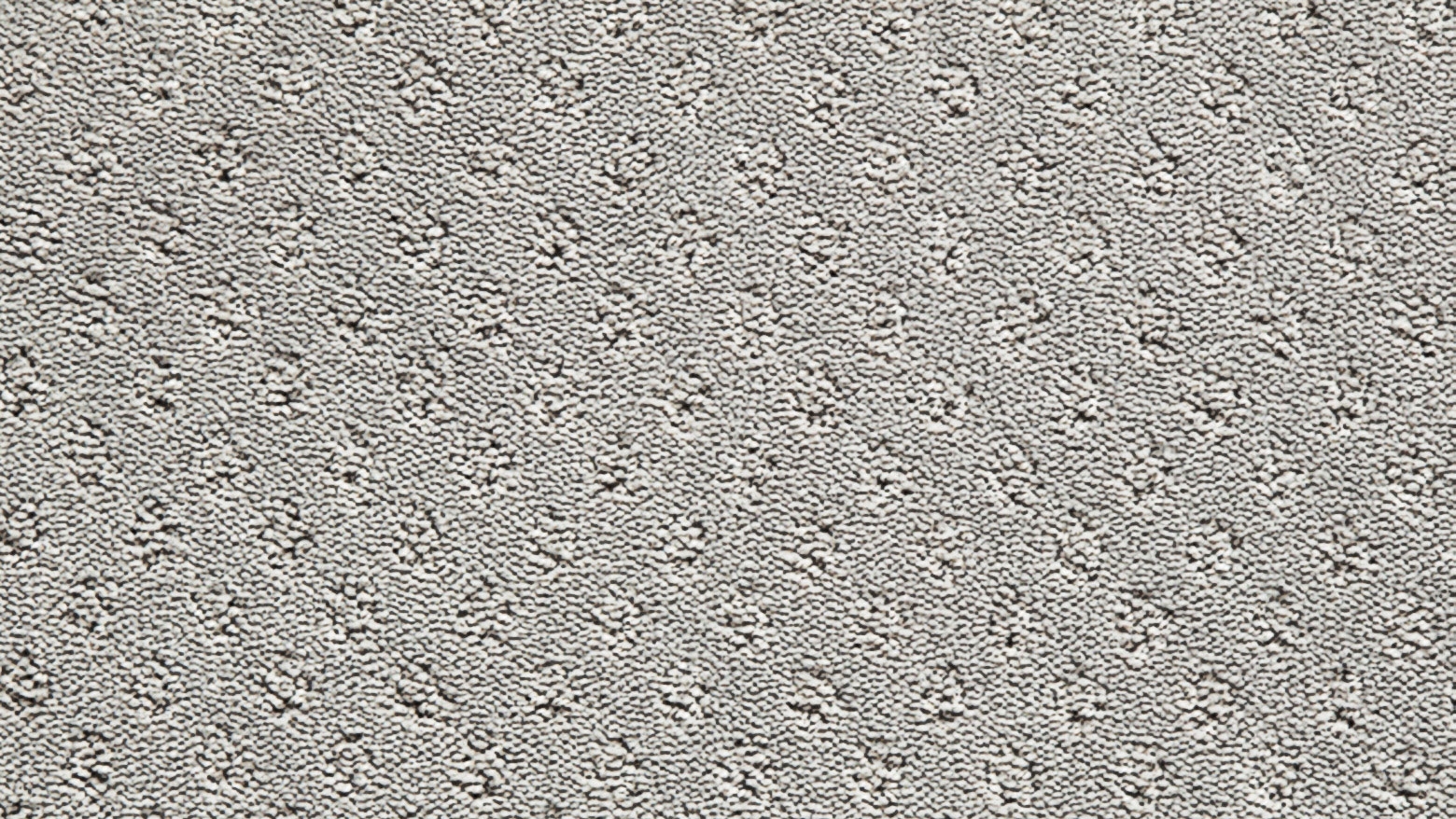 Dove Grey