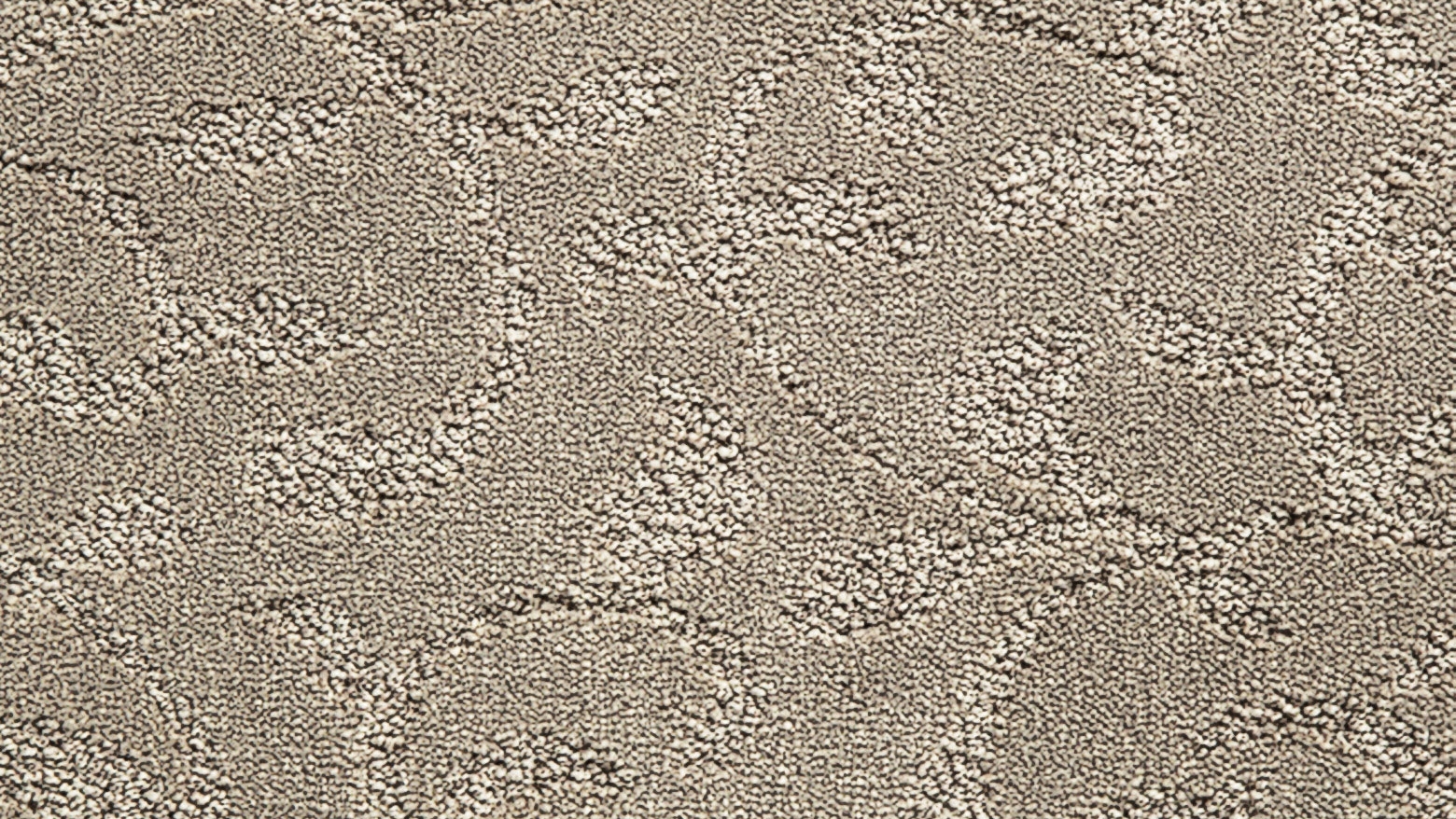 Sea Foam