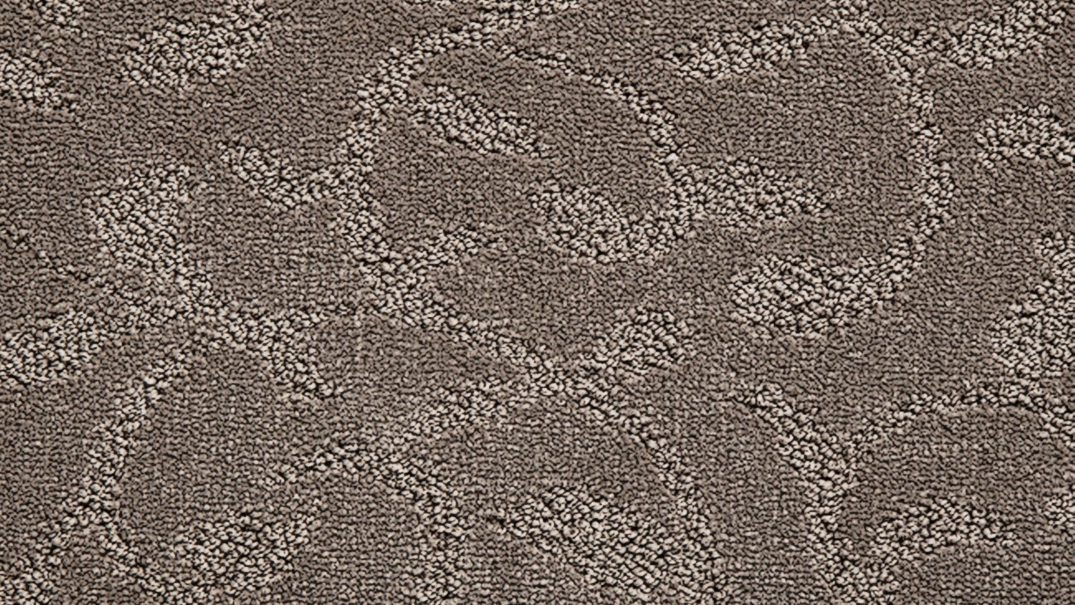 Healthy Homes Pinnacle Bay Carpet - Ash
