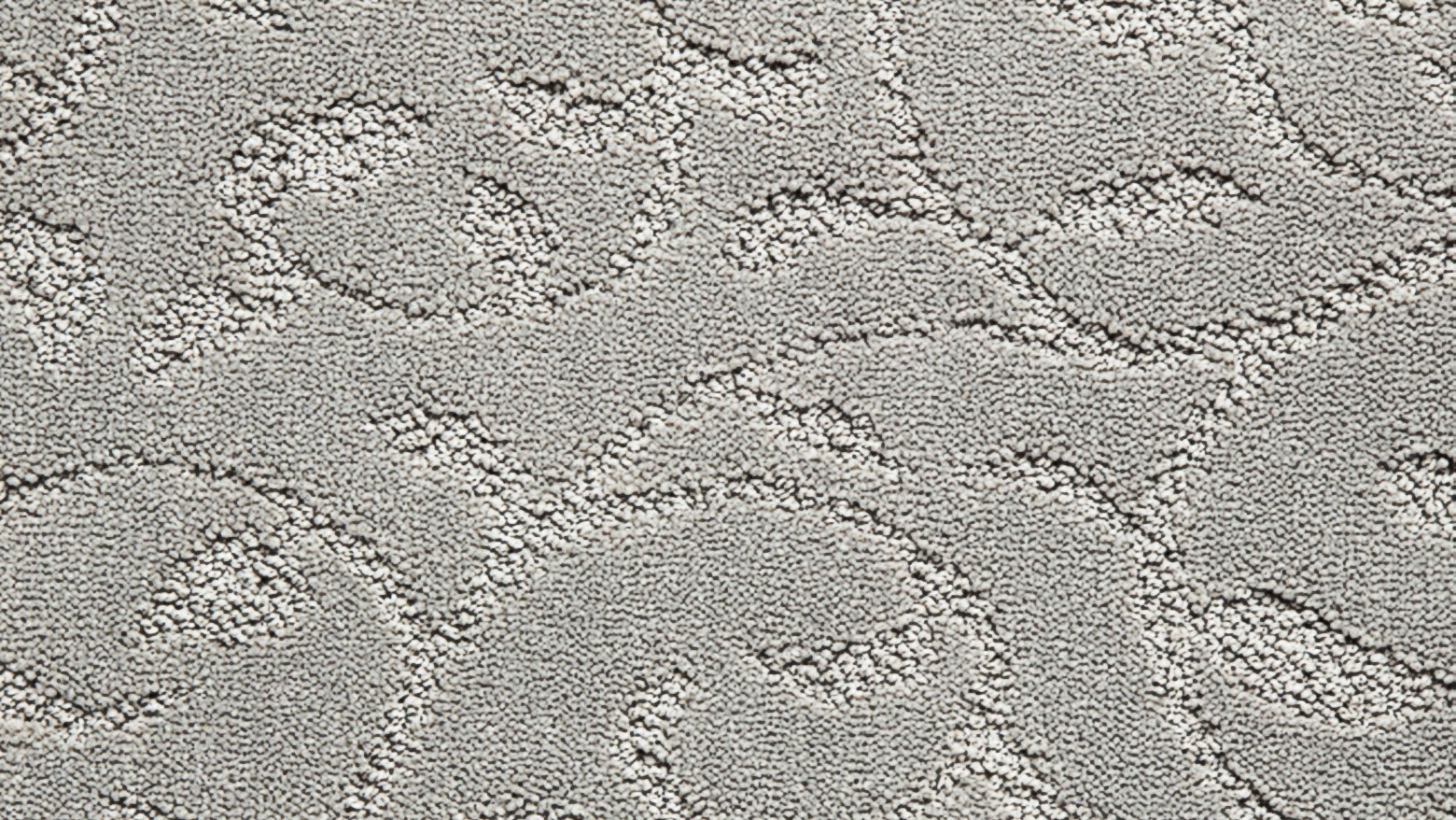Dove Grey