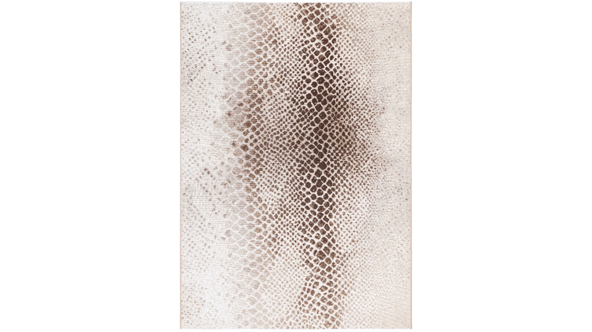 200 x 290cm