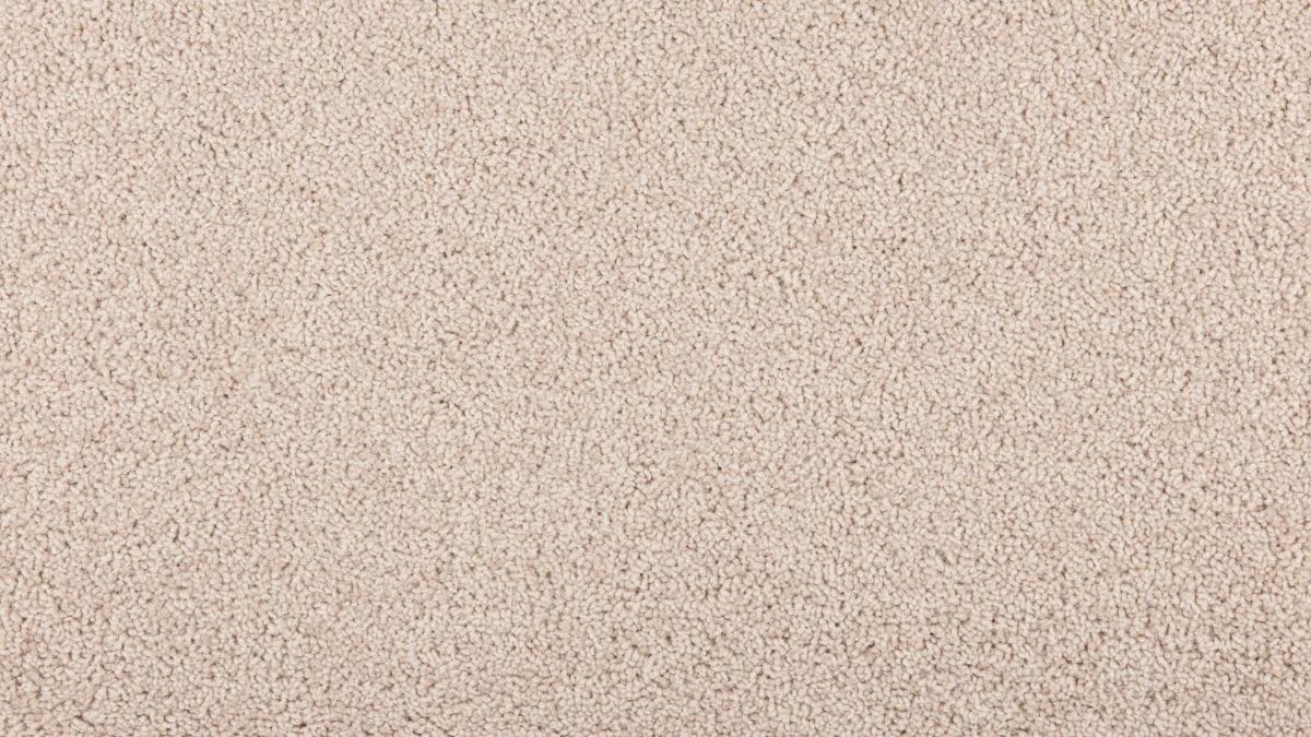 Naturally Smart Naturally Vivacious Carpet - Delight