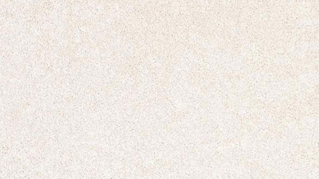 Stain Defence Platinum Harmonious Carpet - White Wood