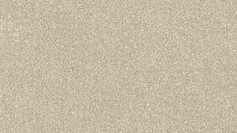 Stain Defence Lifestyle Pure Bliss Carpet - Excite