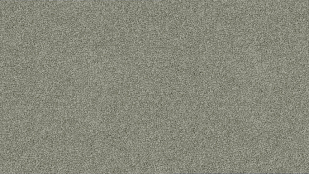 Stain Defence Platinum Universal Beauty Carpet - Striking