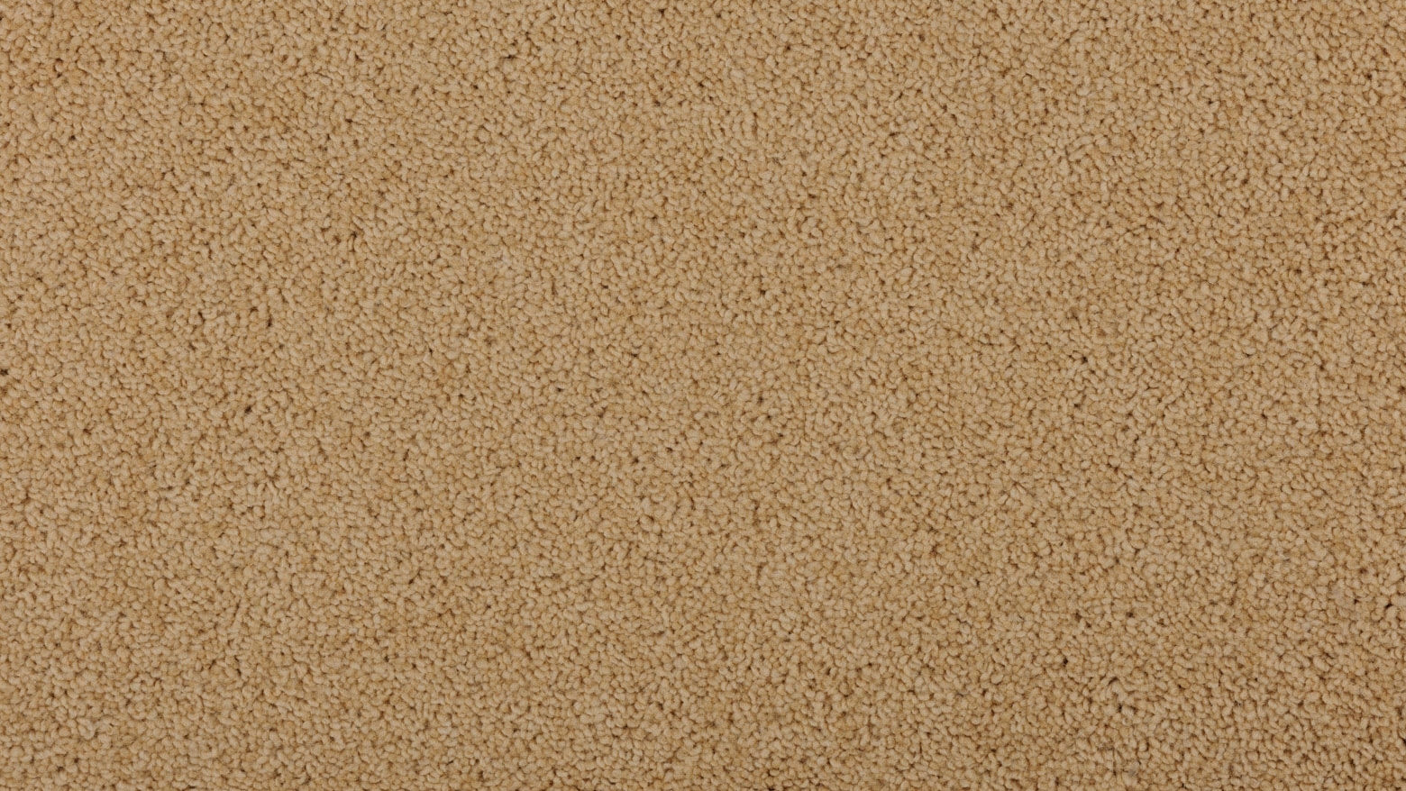 Naturally Smart Enticing Magical Carpet Flooring Harvey Norman