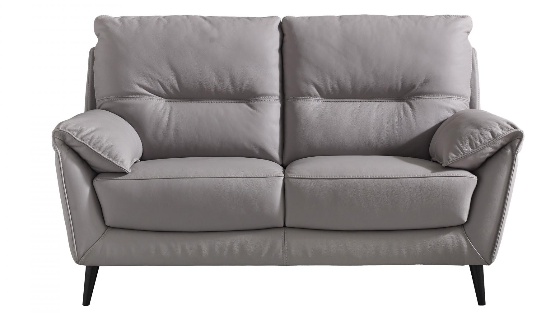 Reims 2-Seater Leather Sofa - Grey