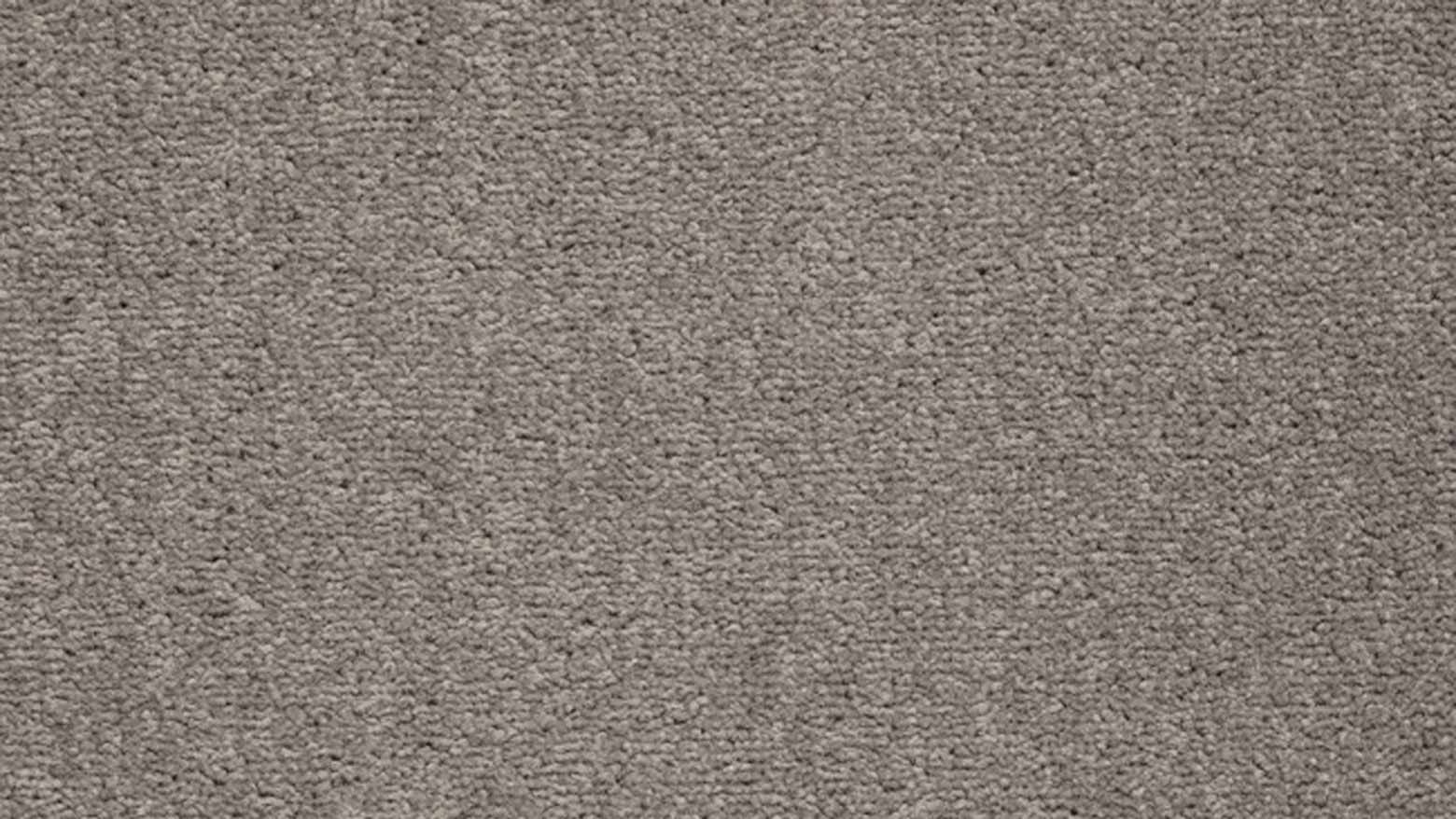 Healthy Homes Champion Bay Carpet - Light Honey