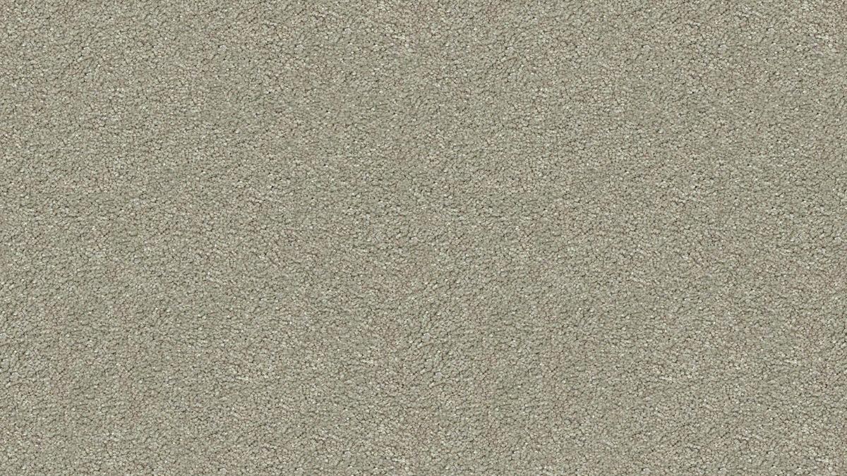 Stain Defence Platinum Morning Star Carpet - Carina