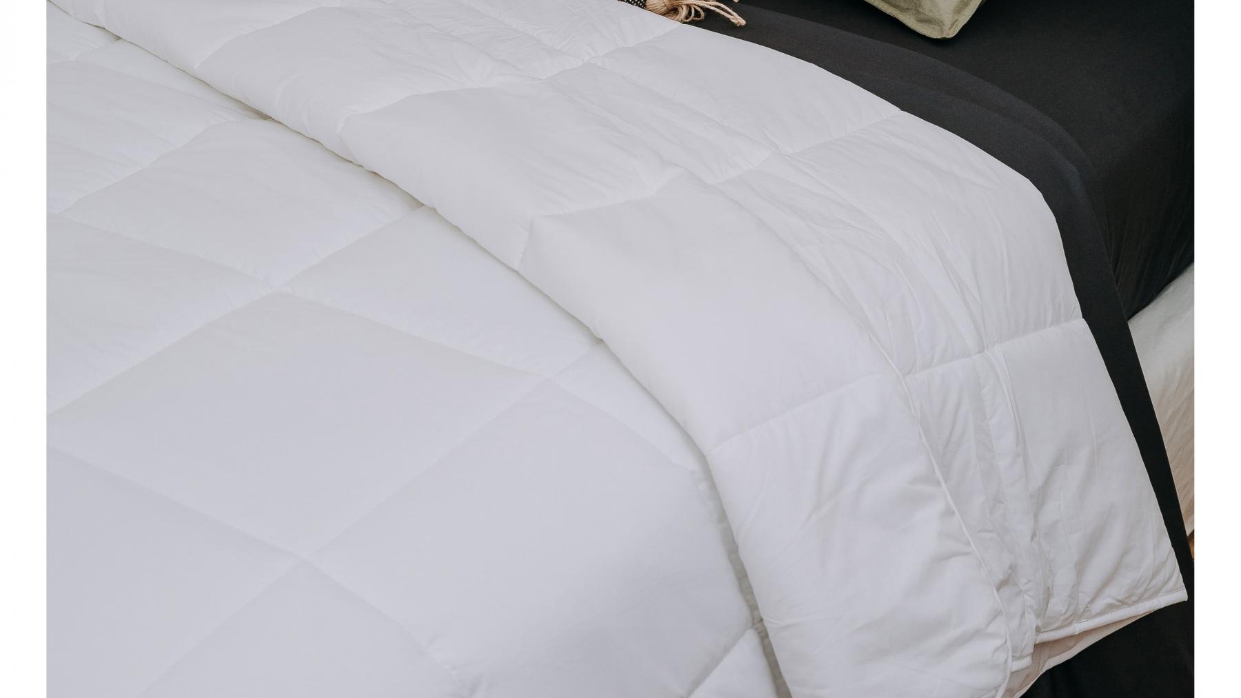 Best Buys Microfibre Quilt Harvey Norman