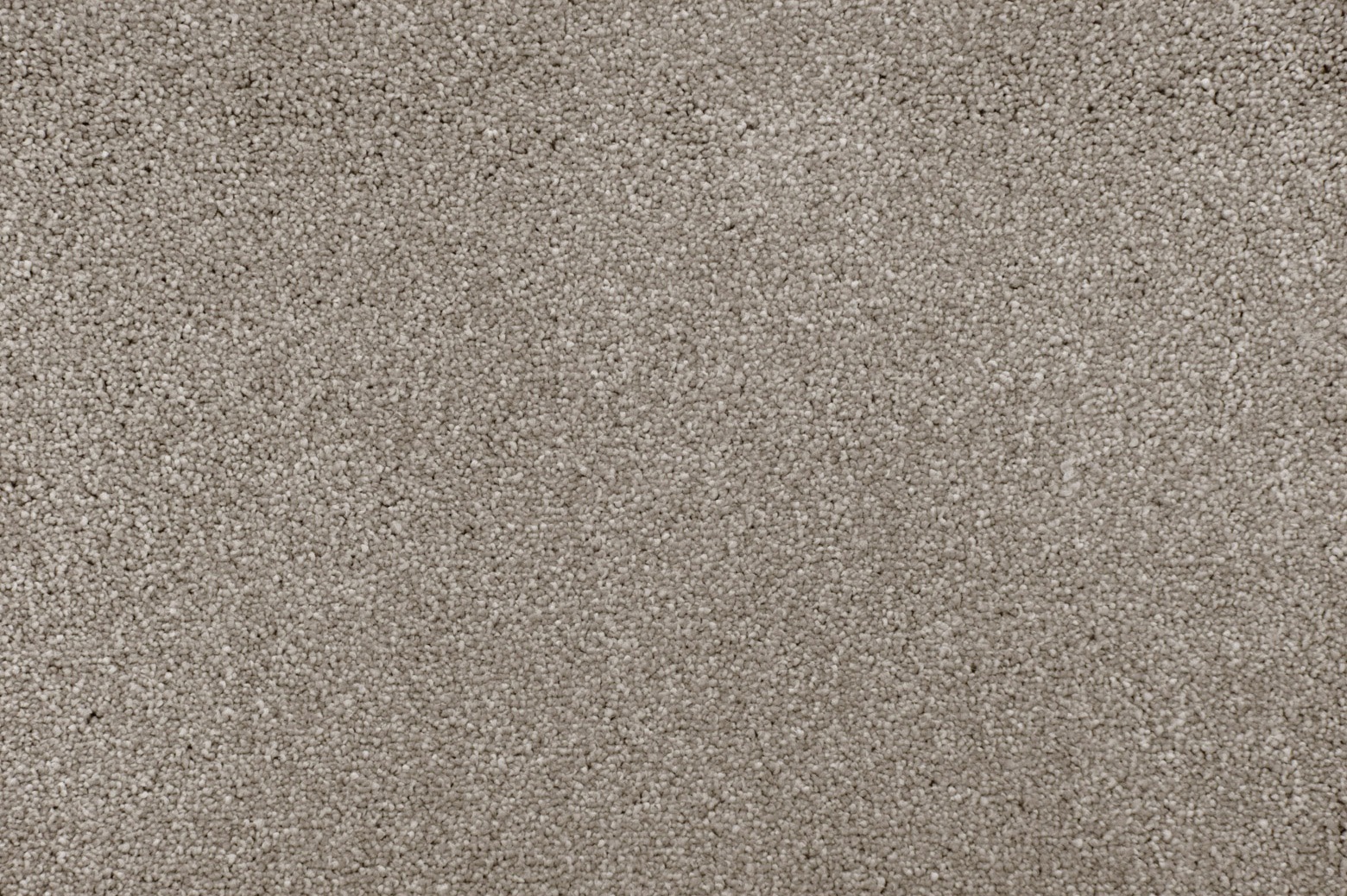 Lifestyle Ashton Carpet - Storm Chaser