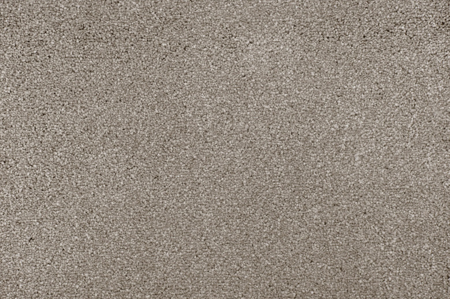 Lifestyle Herregan Carpet - Sierra