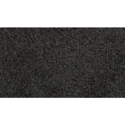 Stain Defence Essentials Tampa Bay Carpet - Coastline