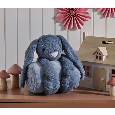 Bunny Toy and Blanket