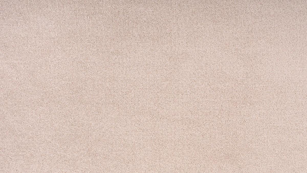 Parchment