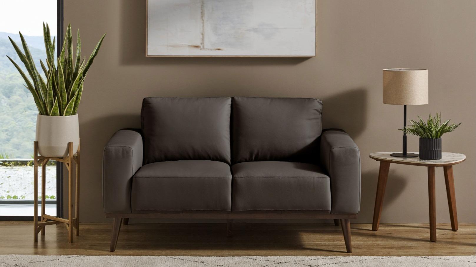 Sirius 2-Seater Leather Sofa - Dark Grey
