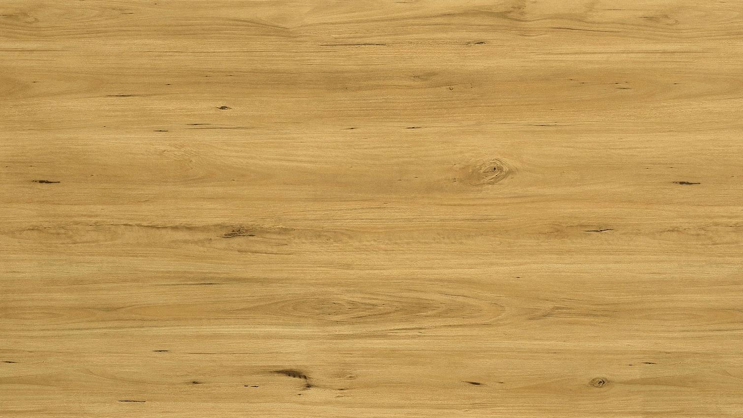 Coreline Harmony Laminate Flooring - Blackbutt