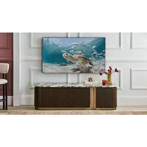 Bellaire TV Unit