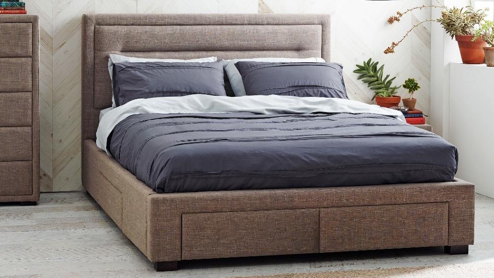 Harvey norman store caren bed