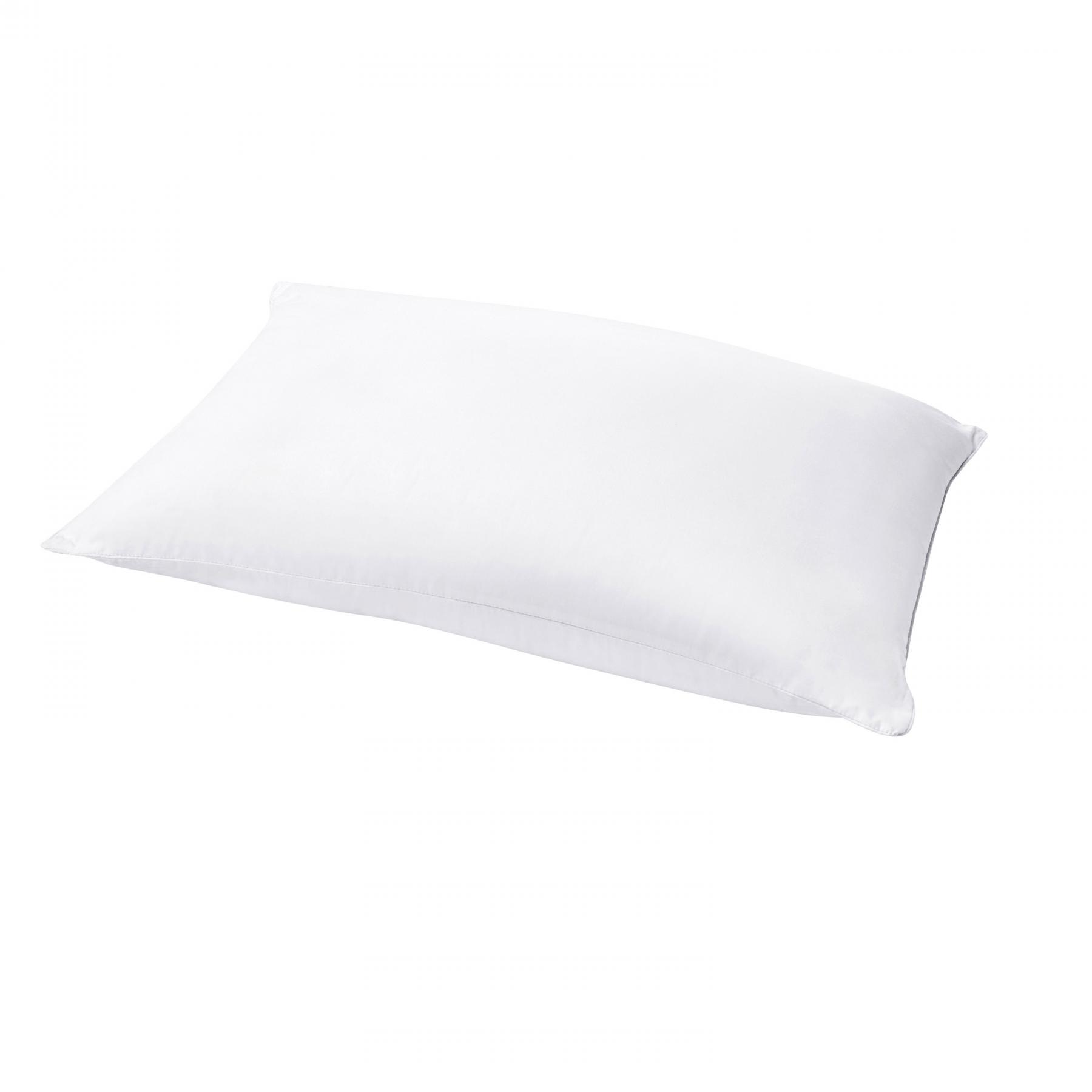 Natura Clima Ingeo Pillow - Low | Harvey Norman