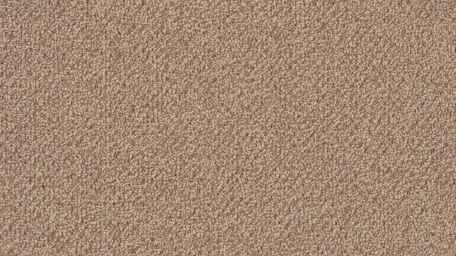 EC Carpets Lockwood Rise Carpet Harris Harvey Norman