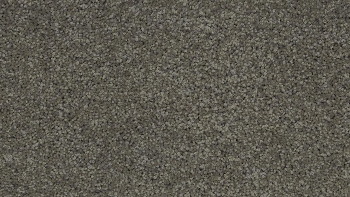 Stain Defence Platinum Woodland Avenue Carpet - Hippo