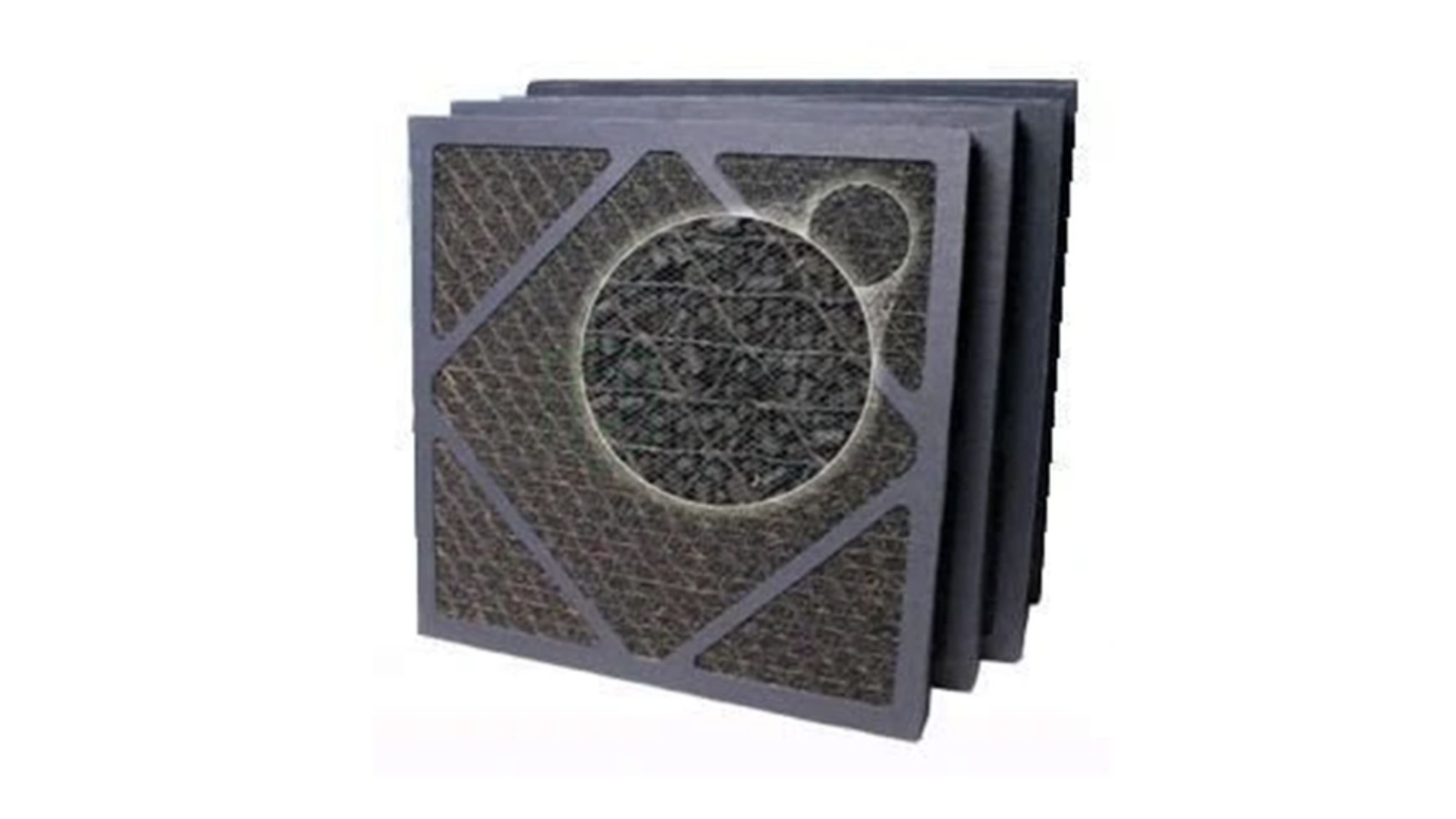 Protecta HAS700 Unit Carbon Filter