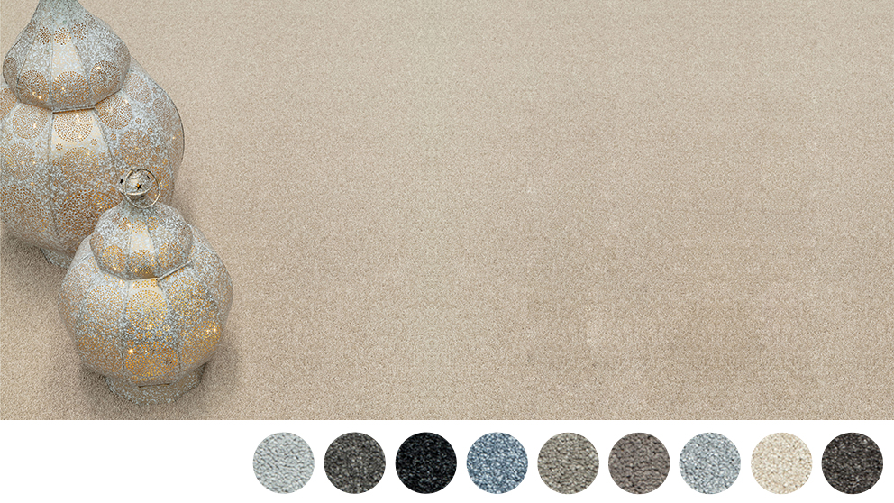 Healthy Homes Champion Bay Carpet