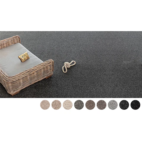 Healthy Homes Springdale Carpet
