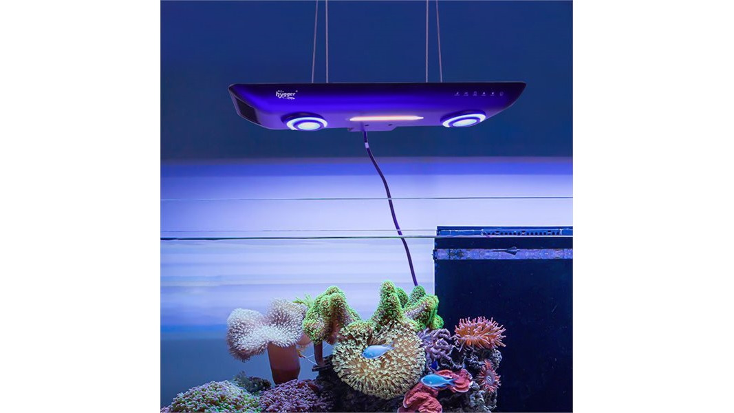 Hygger 200W Coral Light and Seawater Lamp
