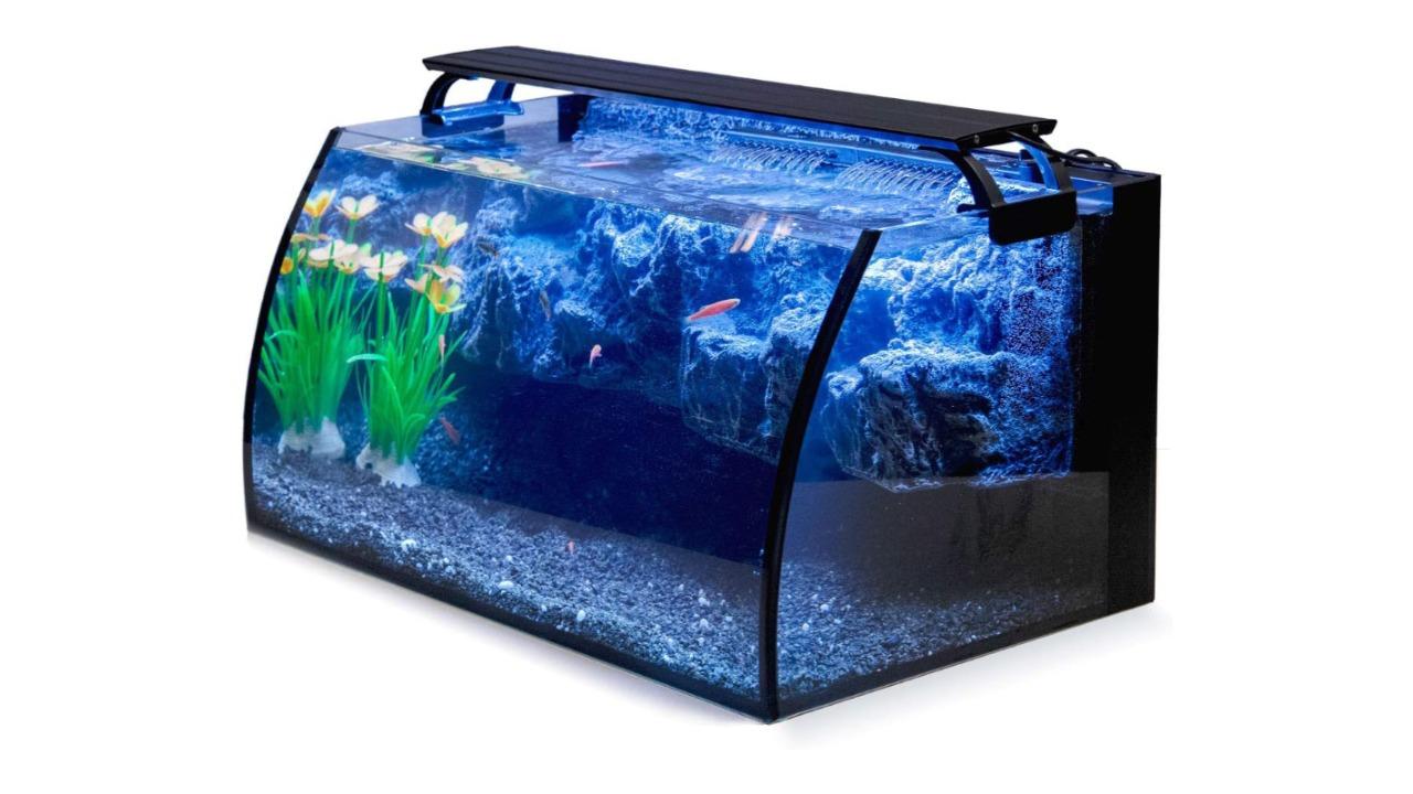 Hygger Betta Fish Tank
