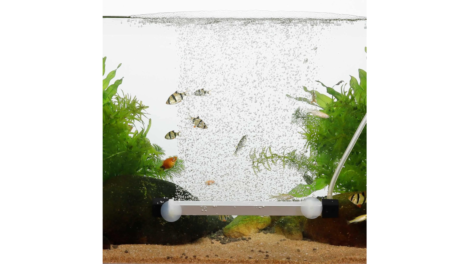 Hygger Aquarium Aeration Strip Kit - 8inch