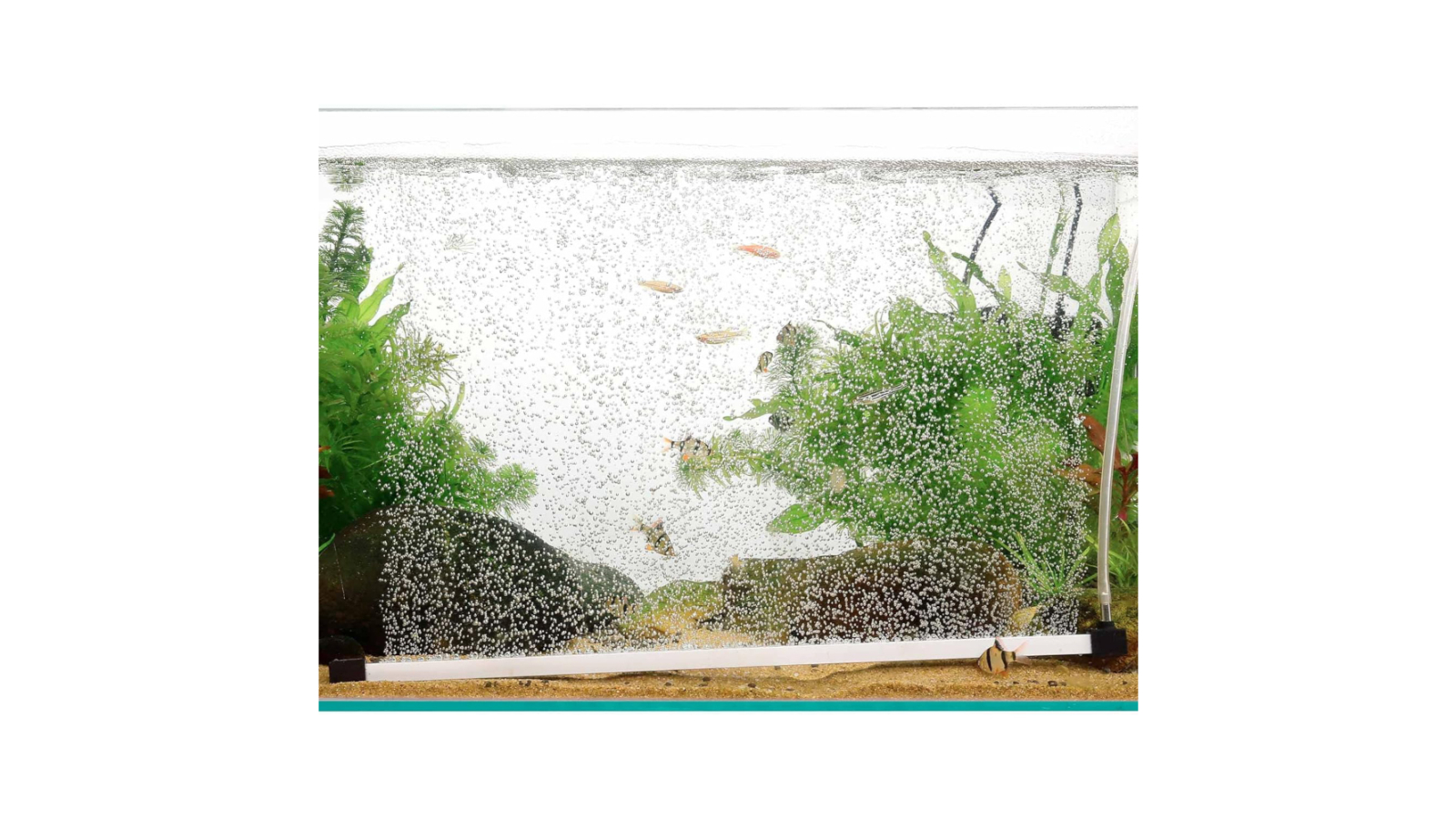 Hygger Aquarium Aeration Strip Kit - 16inch