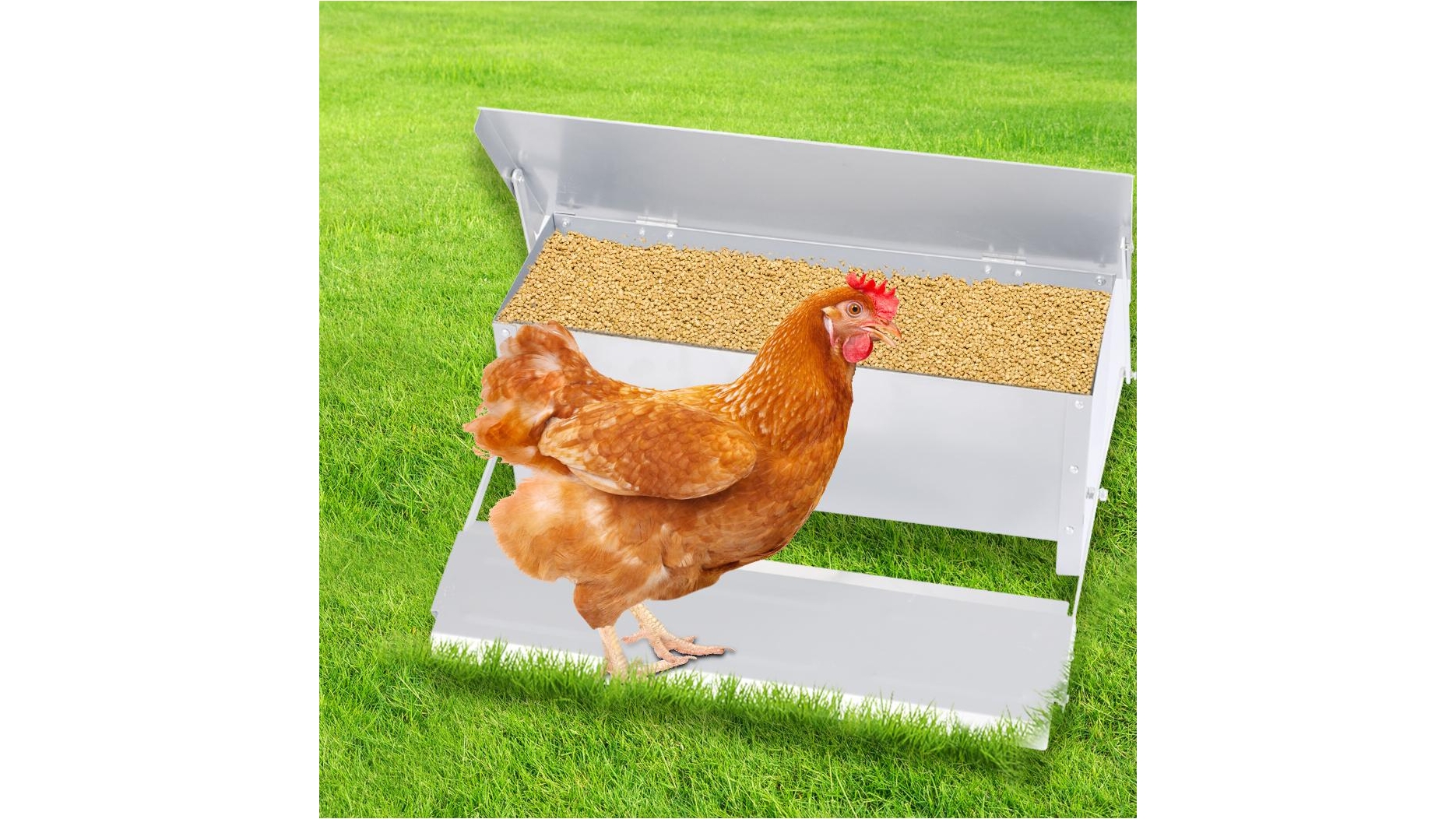 Traderight Automatic Chicken Feeder Self Open Poult Harvey Norman