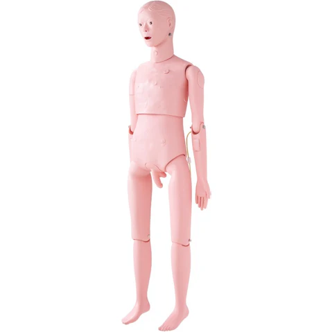 Vevor Nursing Training Male Manikin Model
