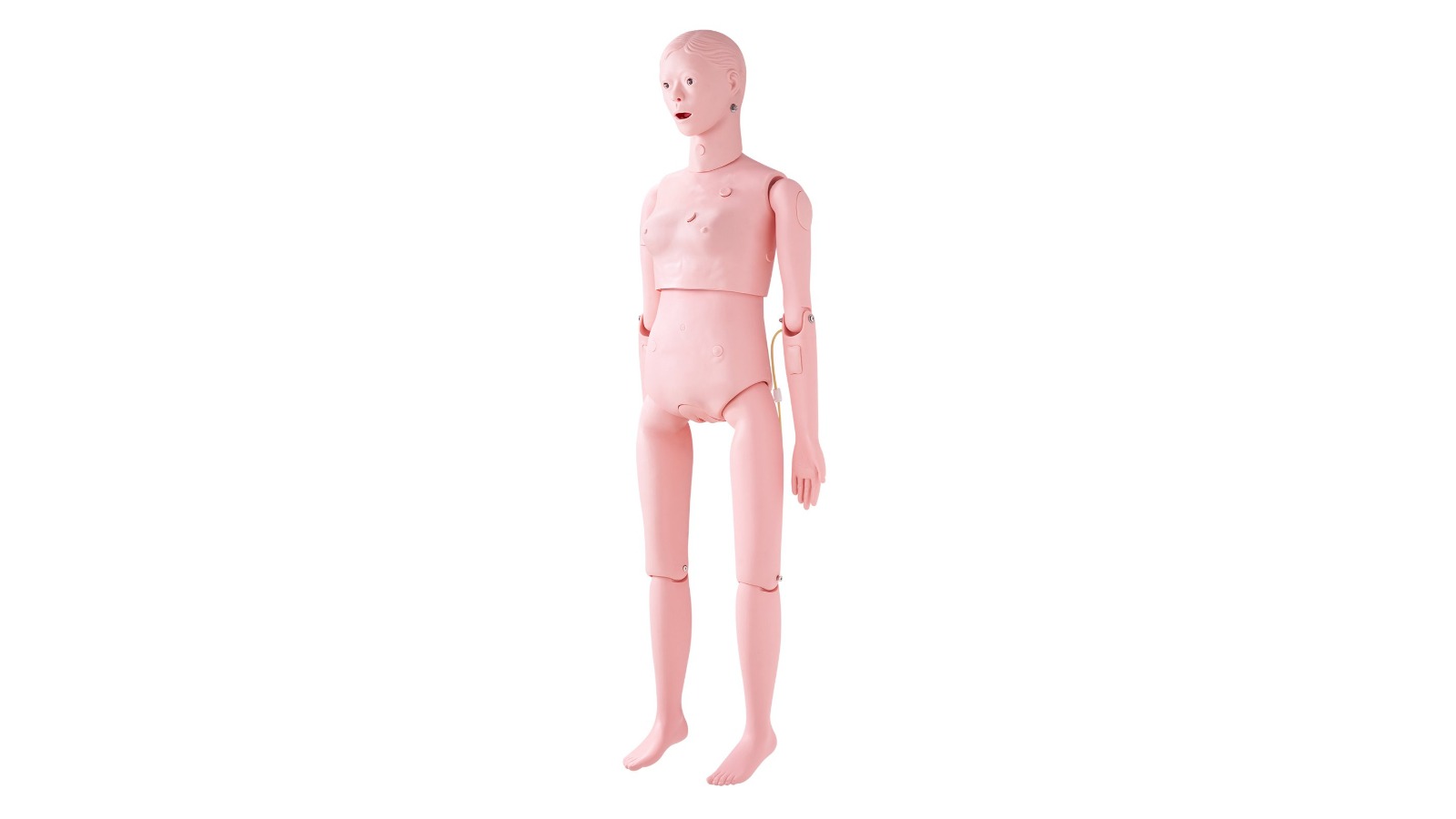 Vevor Nursing Training Female Manikin Model