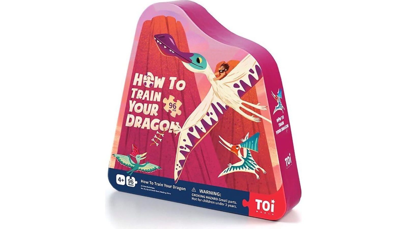 Toi 96-Pieces Train Your Dragon Jigsaw Puzzle