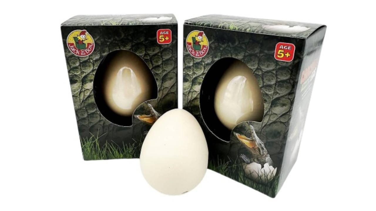 Jack In The Box Growing Pet Crocodile Egg