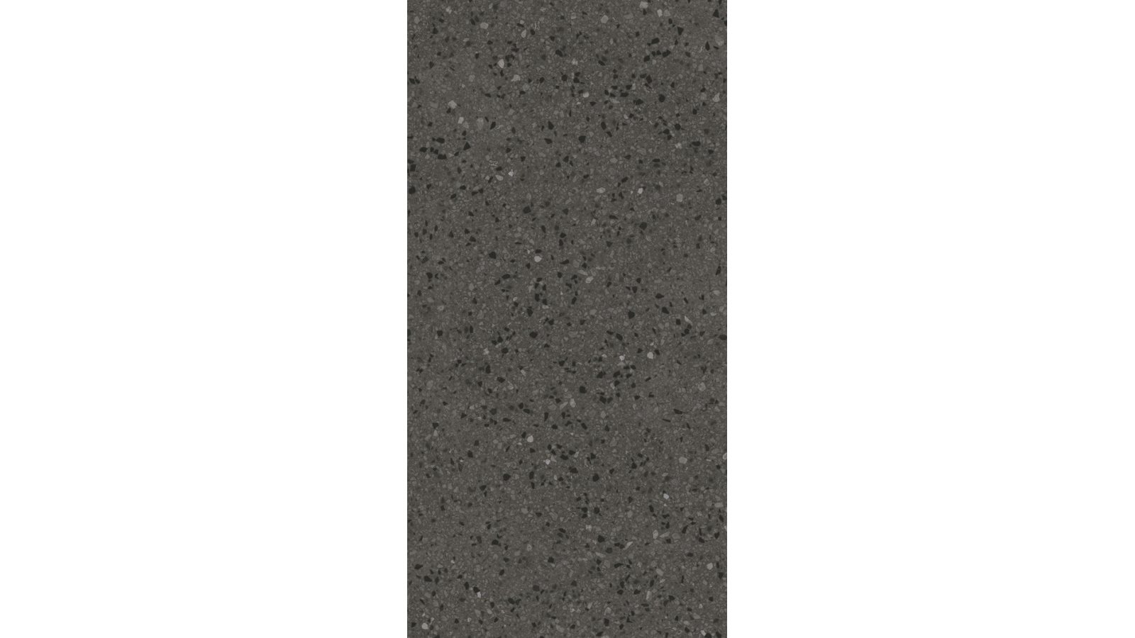 Terrazzo Nero 300x600mm Matte Tile