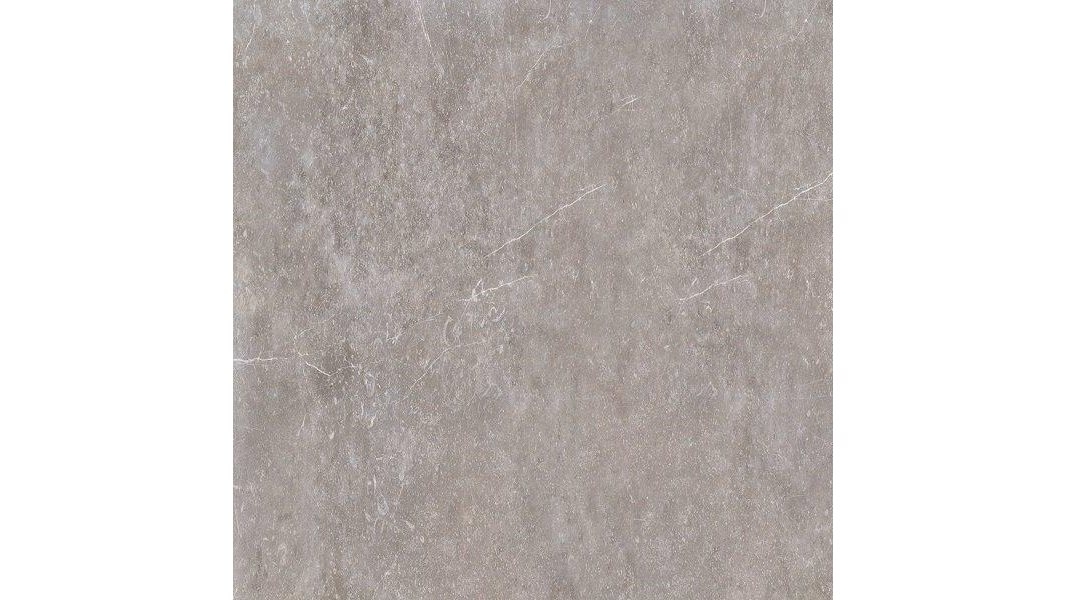 Bluestone Dust 600x600mm Honed Tile