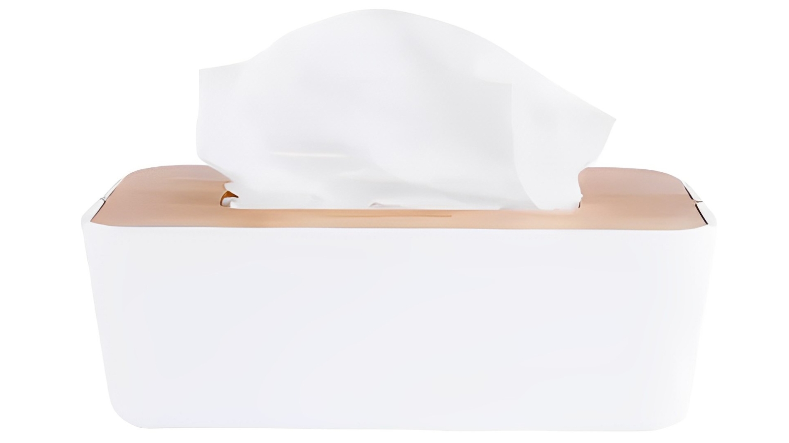 Living Today Bamboo Fiber Tissue Dispenser Organizer