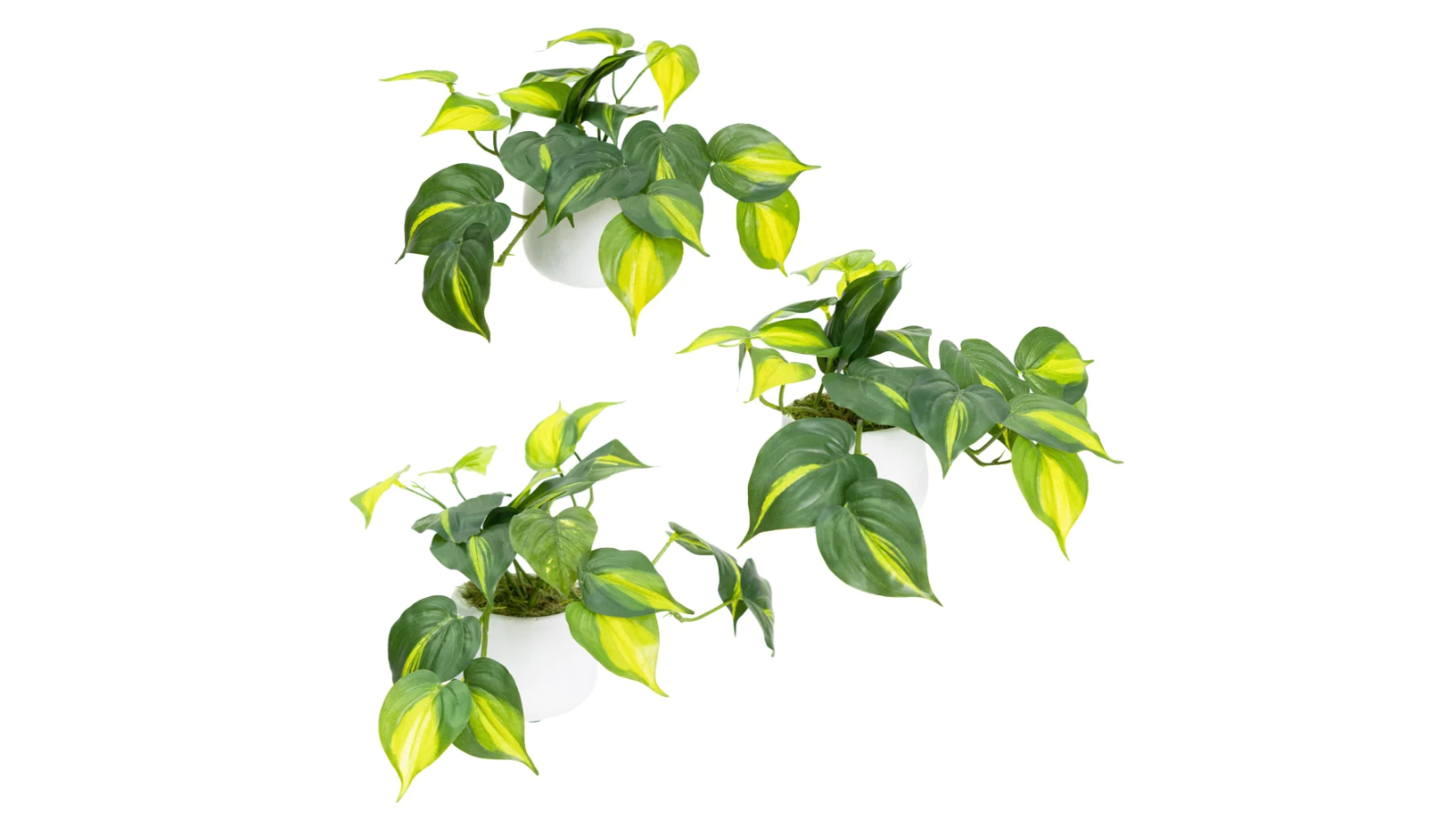 Glamorous Fusion Holland Bush Artificial Plant in Pot Set