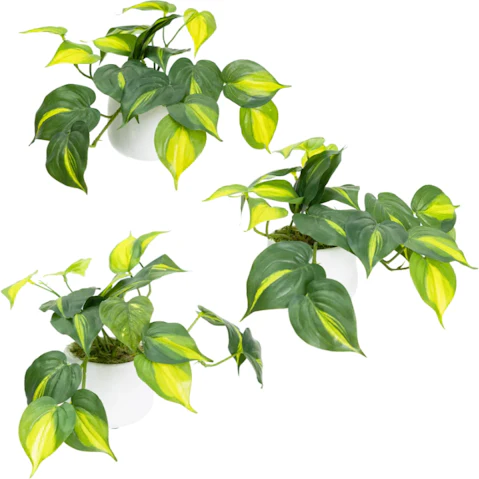 Glamorous Fusion Holland Bush Artificial Plant in Pot Set