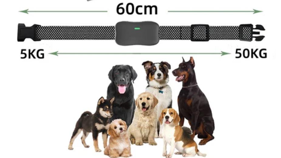 Houndware BoundWise Pro 2-in-1 Wireless Dog Fence and Training Kit