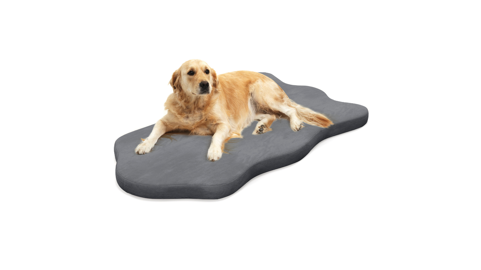 Costway Orthopedic Waterproof Dog Bed with Foam Mattress and Cover - Grey