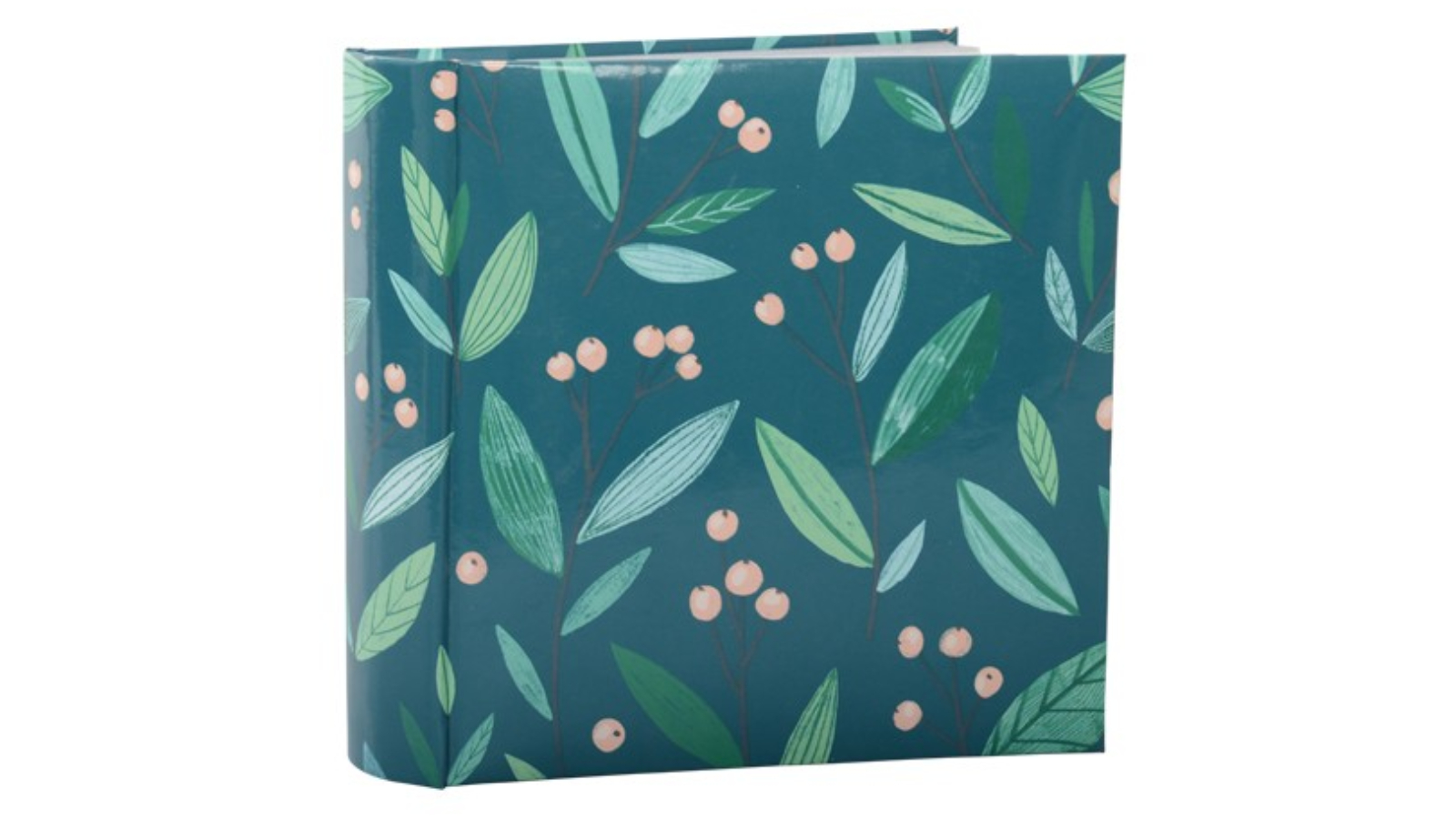 UR1 200 Cap Camille Photo Album - 4 x 6inch