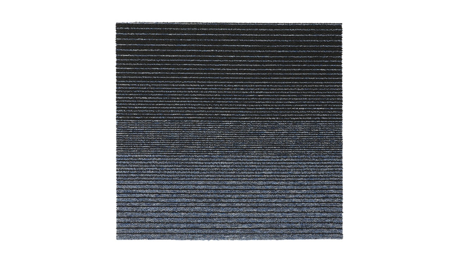 Black/Blue