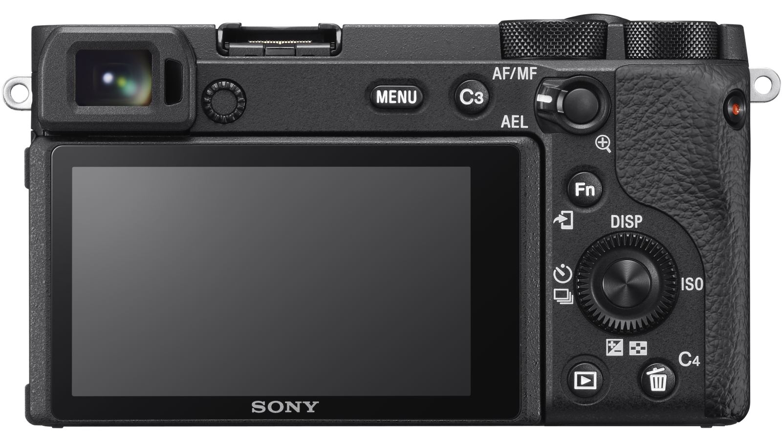 is sony a6600 a professional camera